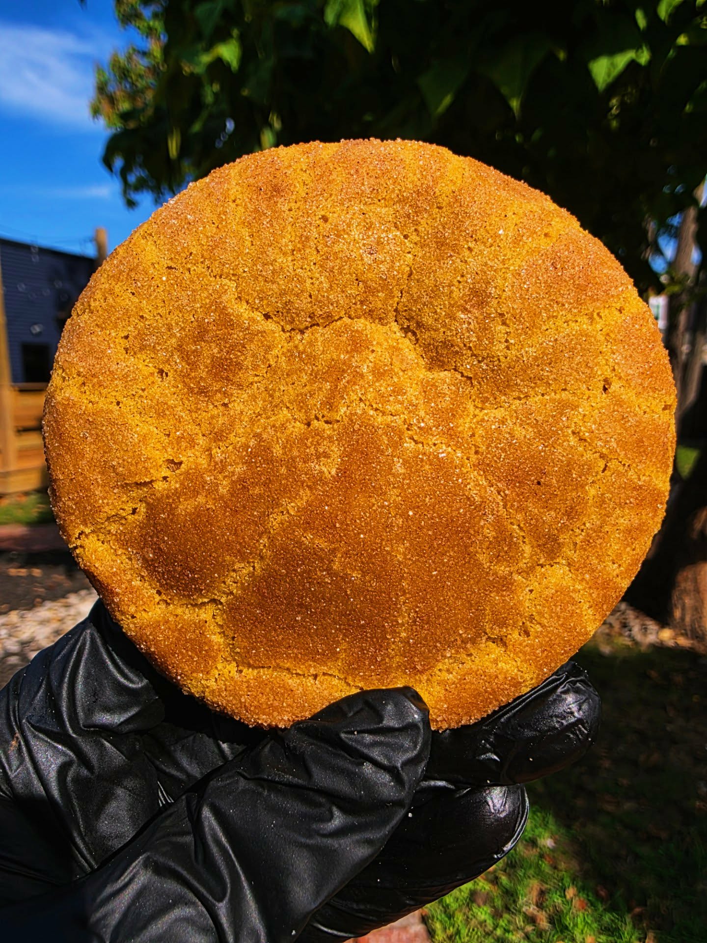 Pumpkin-Spice-Cheesecake-Filled-Cookie